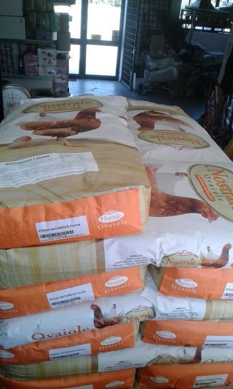 Pianeta Verde - Immagine 2