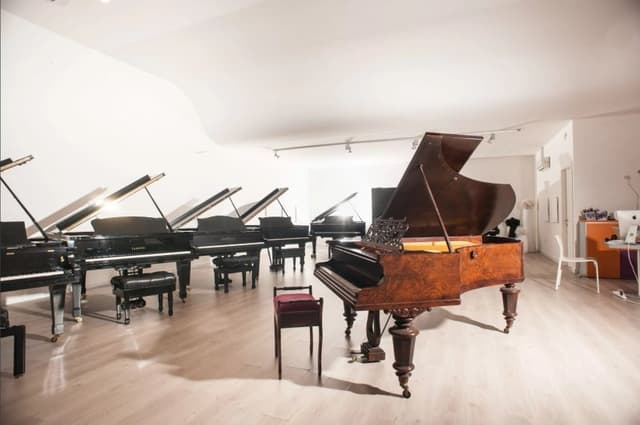 Piano e Forte - Vendita Noleggio Pianoforti - Immagine 2