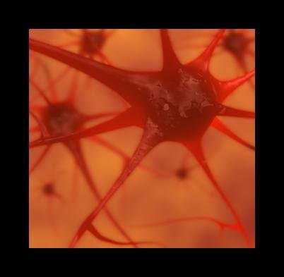 Piccardo Dr. Aldo - Immagine 1