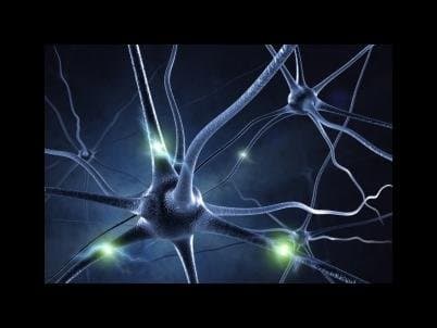 Piccardo Dr. Aldo - Immagine 2