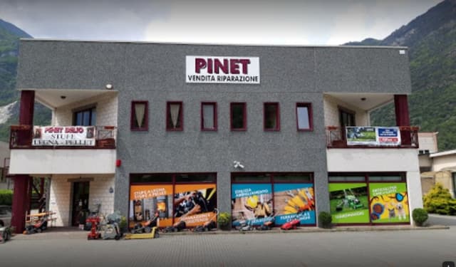 Pinet Delio - Immagine 1