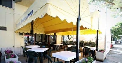 Pizzeria Il Gatto e La Volpe - Immagine 1