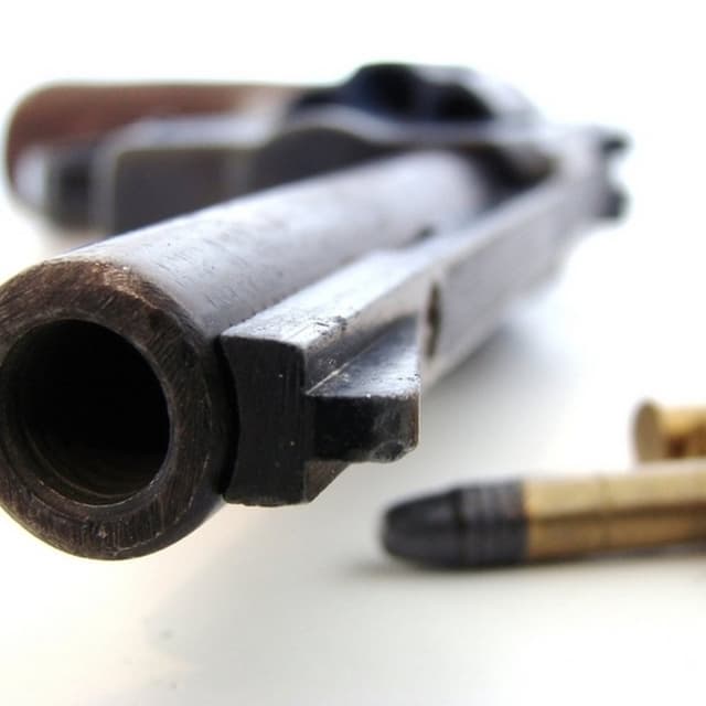 Plepa 007 - Immagine 1