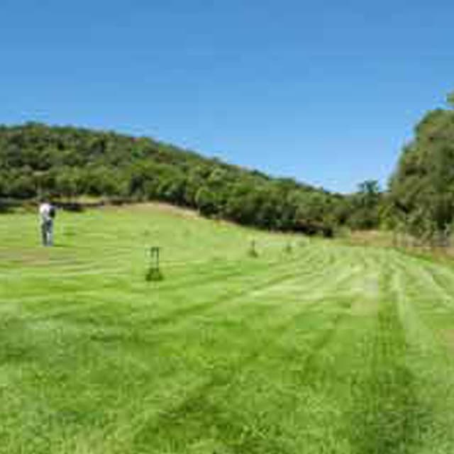 Prato Sempre Verde - Immagine 1