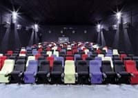 Pugi R.G. - Immagine 1