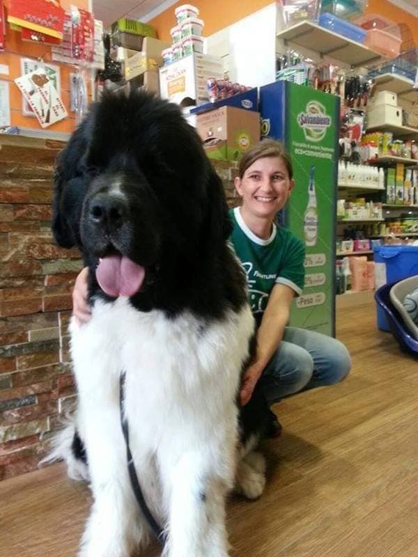 Qua La Zampa - Immagine 2