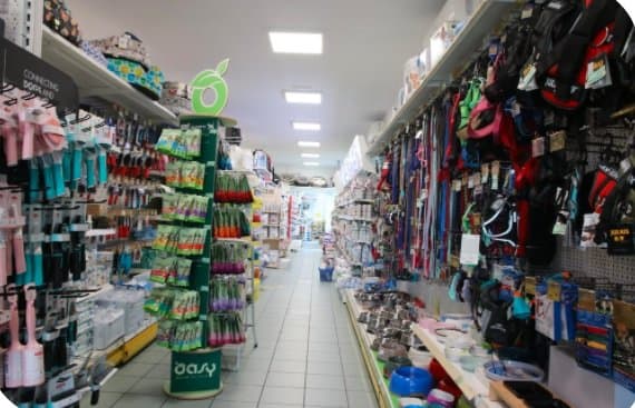 Qua La Zampa - Immagine 1