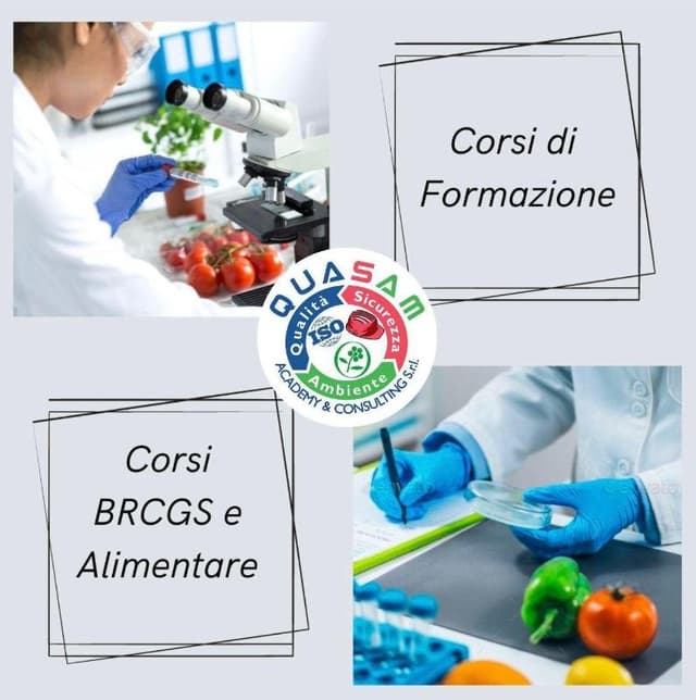 Quasam Academy & Consulting - Immagine 1