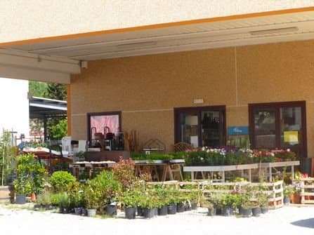 Red Garden - Immagine 1