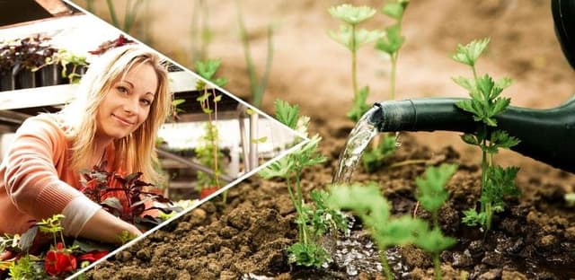 Red Rock Hunting & Outdoor - Immagine 2