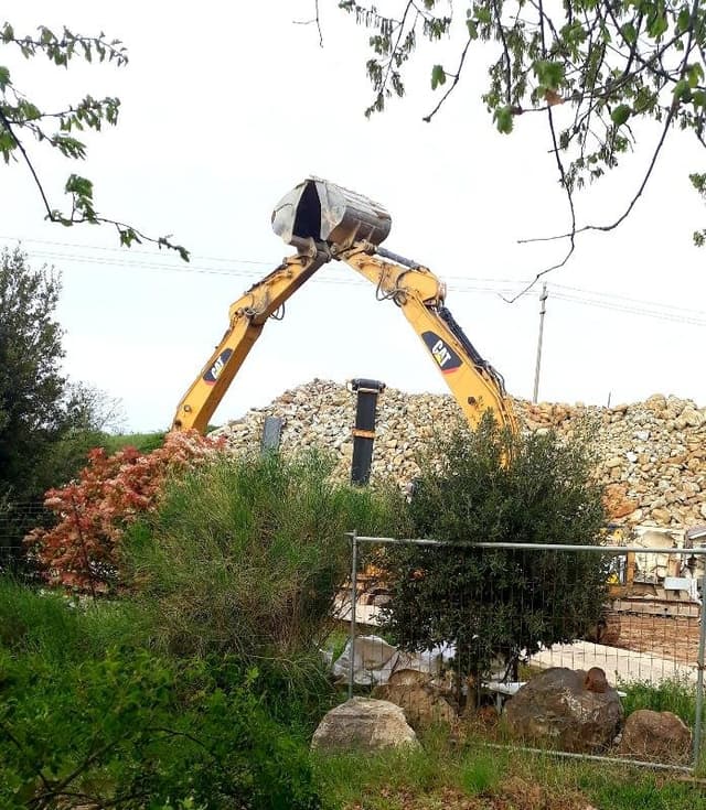 Rossi Fabio - Immagine 2