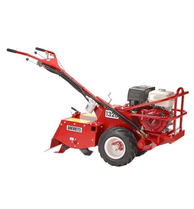 Sacchi Giorgio - Immagine 2