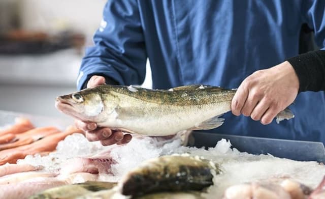 Sapore di Mare - Immagine 1