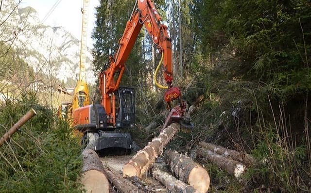 Sarner Holz - Immagine 1