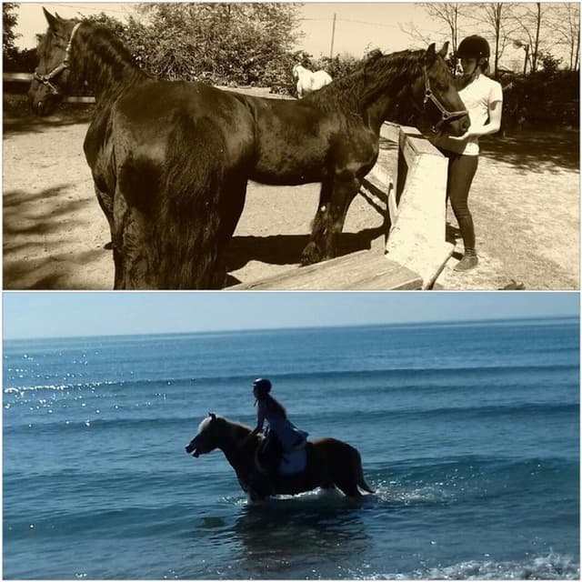 Scuderia Amici Visano - Immagine 2