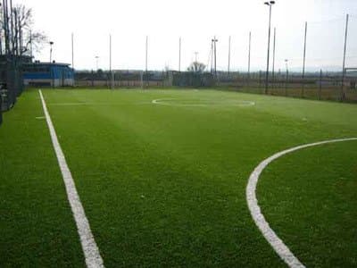 Sementi M. Cogo - Immagine 1