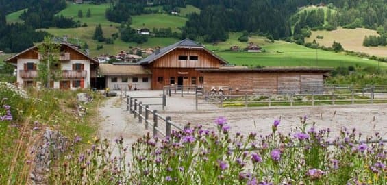 Senfter Macelleria e Bistro - Immagine 2