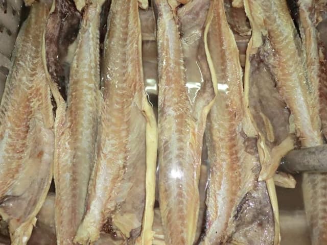 Signor Stocco - Immagine 2