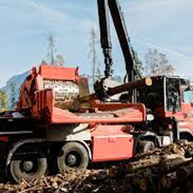 Slongo 3 S - Immagine 1