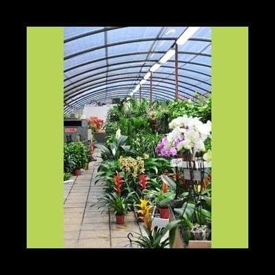 Società Agricola Garden La Serra - Immagine 1