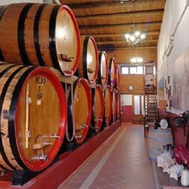 Stracquadaini Vini - Immagine 2