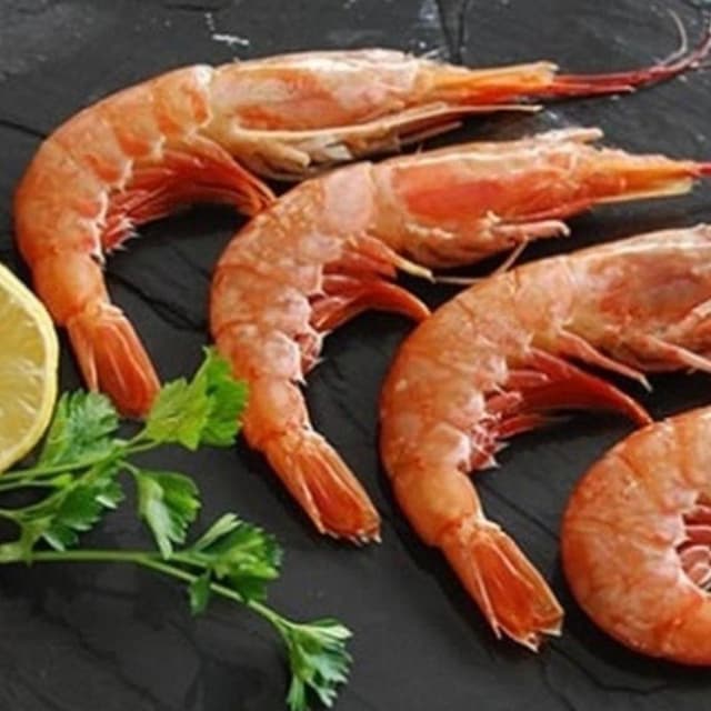 Surgelandia - Immagine 1