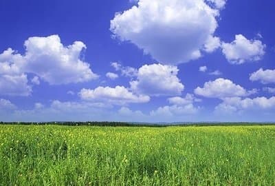 Tecnoinsubria Sicurezza Aziendale - Immagine 1