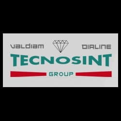 Tecnosint Group - Immagine 2