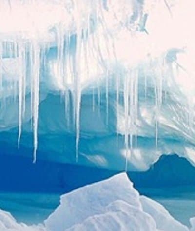 Teora Frigo - Immagine 1