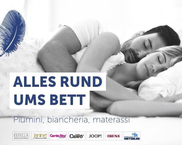 Theiner - Immagine 2