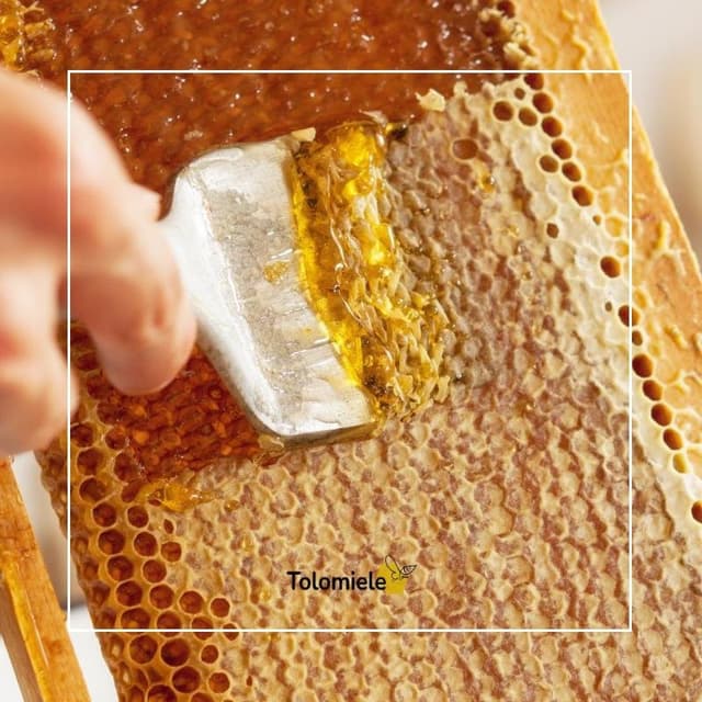 Tolomiele - Apicoltore per passione - Immagine 1