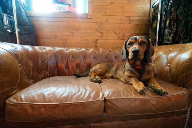 Trophy Hunt - Immagine 2