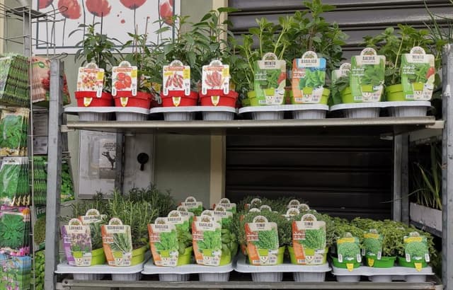 Trucano Carla - Immagine 2