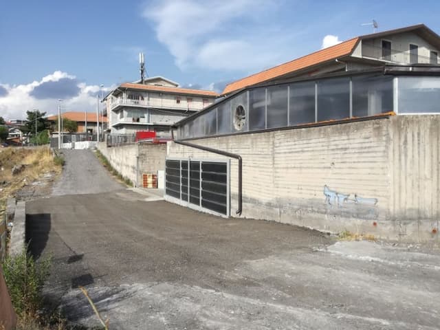 Turi Fer di Saitta Salvatore - Immagine 2