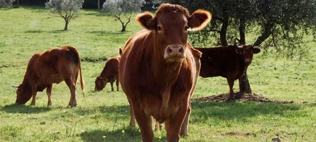 Unione degli Agricoltori di Firenze - Immagine 2