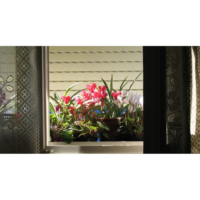 Vacchero Avvolgibili - Immagine 2