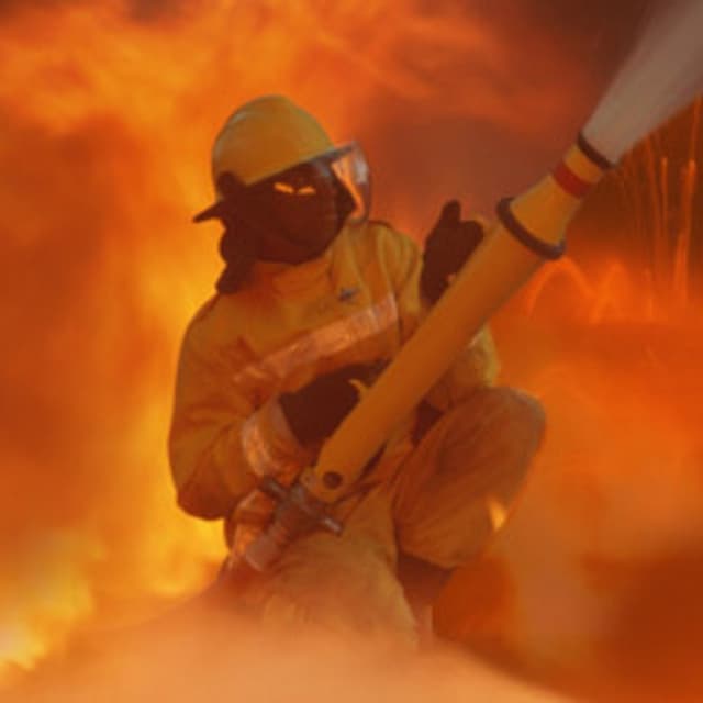 Valvo Alpi - Immagine 1