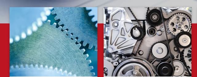 VieVi Ingranaggi - Immagine 1