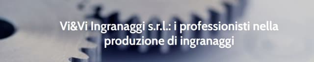 VieVi Ingranaggi - Immagine 2