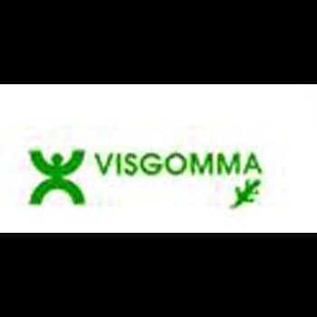 Visgomma - Immagine 1