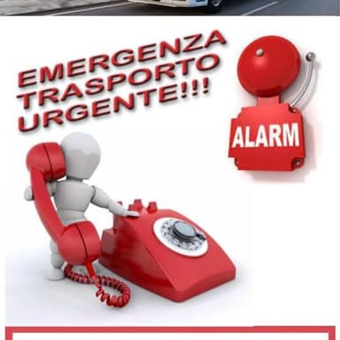 AAutotrasporti Zingarelli