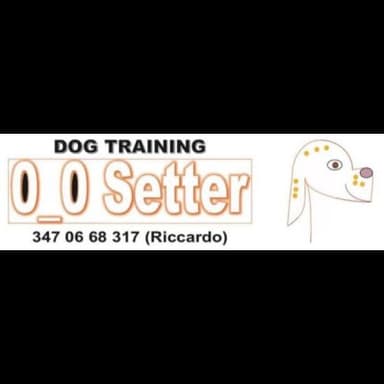 Addestramento Cinofilo 00 Setter