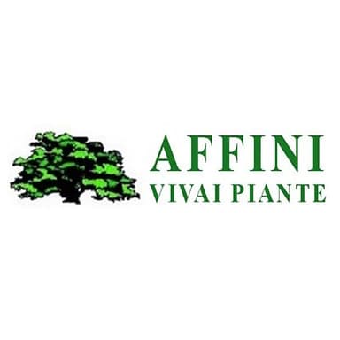 Affini Vivai