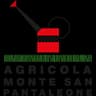 Logo Agricola Monte San Pantaleone