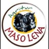 Logo Agritur Maso Lena Malga Bocche