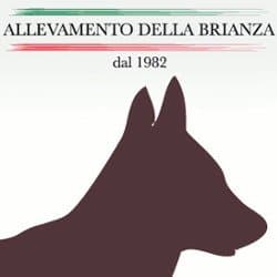 Allevamento della Brianza