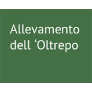 Allevamento dell'Oltrepo'