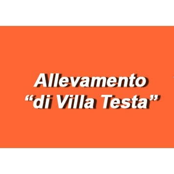 Allevamento Villa Testa