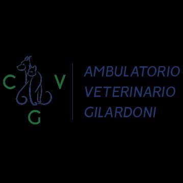 Ambulatorio Gilardoni S.r.l.