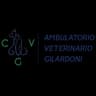 Logo Ambulatorio Gilardoni S.r.l.